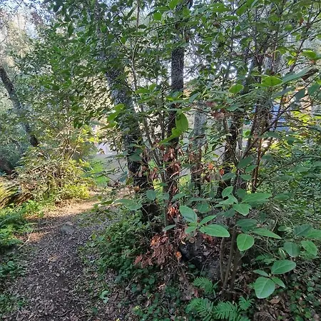 Casa Soprana - De Independant Avec Piscine Et Jardin Prives - Independant Of With Private Pool And Garden * ポルトヴェッキオ