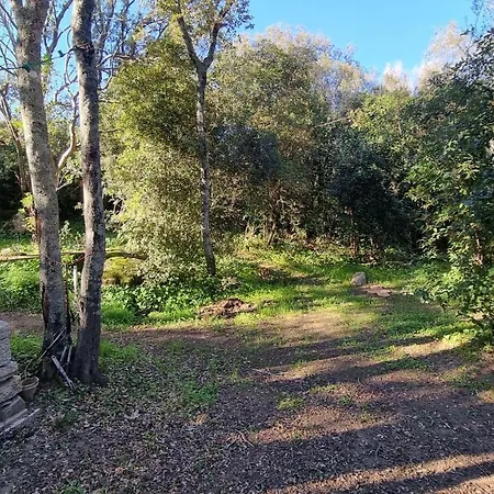 De 250 M2 Plein Sud, Vue Mer, à Marina Di Fiori