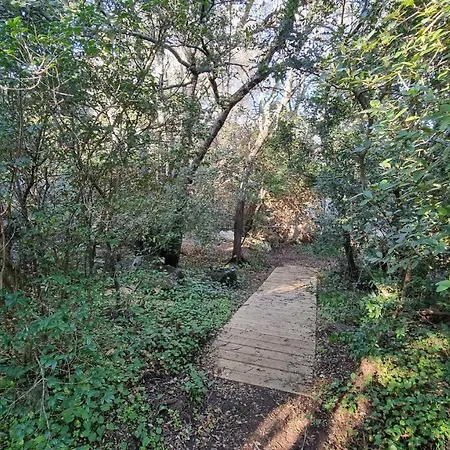 De 250 M2 Plein Sud, Vue Mer, à Marina Di Fiori Hébergement de vacances *