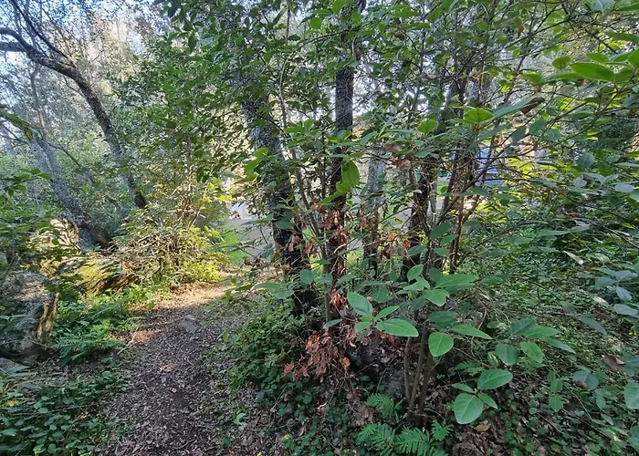 Casa Soprana - De Independant Avec Piscine Et Jardin Prives - Independant Of With Private Pool And Garden * Porto-Vecchio (Corsica)